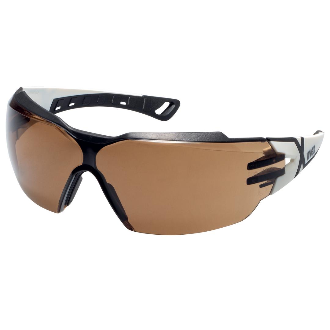 Uvex Online Shop B2B | Uvex Pheos Cx2 CBR65 Safety Spectacles Anti